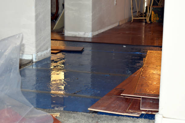 Professional Flood Damage Restoration technician working in Haledon, NJ
